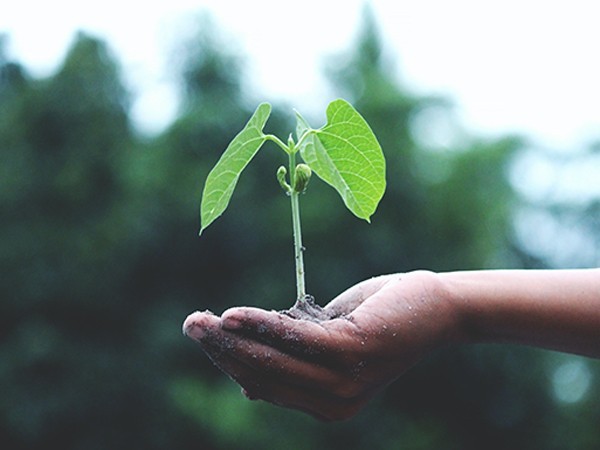 Práticas sustentáveis simples e eficientes para farmácias